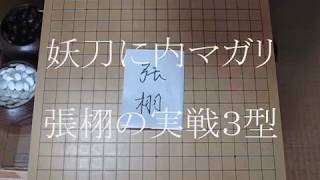 林海峰　名局細解 🔴林海峰＆張栩🔴 - YouTube
