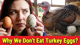 Why We Don't Eat Turkey Eggs? Why Don T We Eat Turkey Eggs