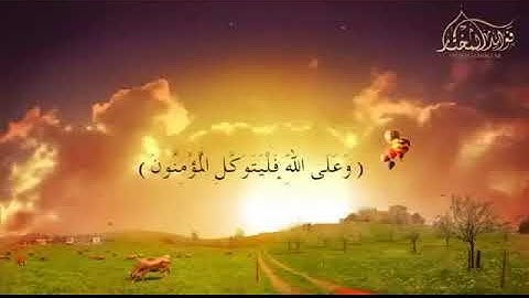مادمت تقرأ الأذكار  ( أبشر بكل خير )   الشيخ محمد الشنقيطي
