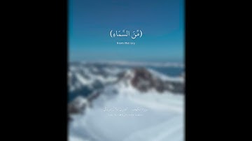 ﴿ وَلَوْلَا إِذْ دَخَلْتَ جَنَّتَكَ قُلْتَ مَا شَاءَ اللَّه) القارئ بلال دربالي _مع صوت مطر 🌧️✨