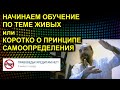 НАЧИНАЕМ ОБУЧЕНИЕ ПО ТЕМЕ ЖИВЫХ или КОРОТКО О ПРИНЦИПЕ САМООПРЕДЕЛЕНИЯ 2021.02.17 Сургут