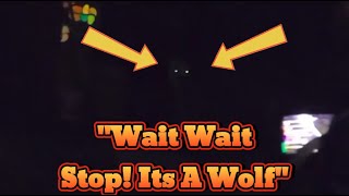 Ice Poseidon Thinks He Sees A Wolf