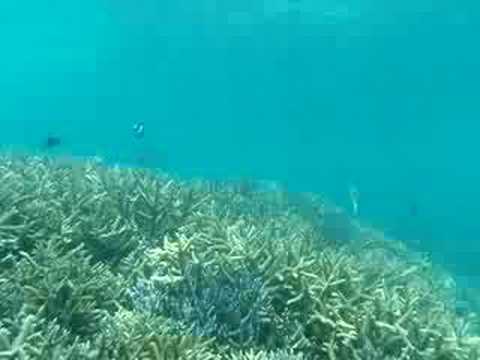 �r�ԓ��̃t�i�X�N�ɂ͎}�X�肪�����ς��ł��B