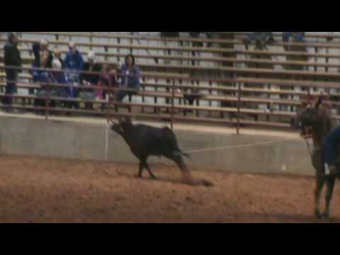 Calvary Rodeo NOV09 - YouTube
