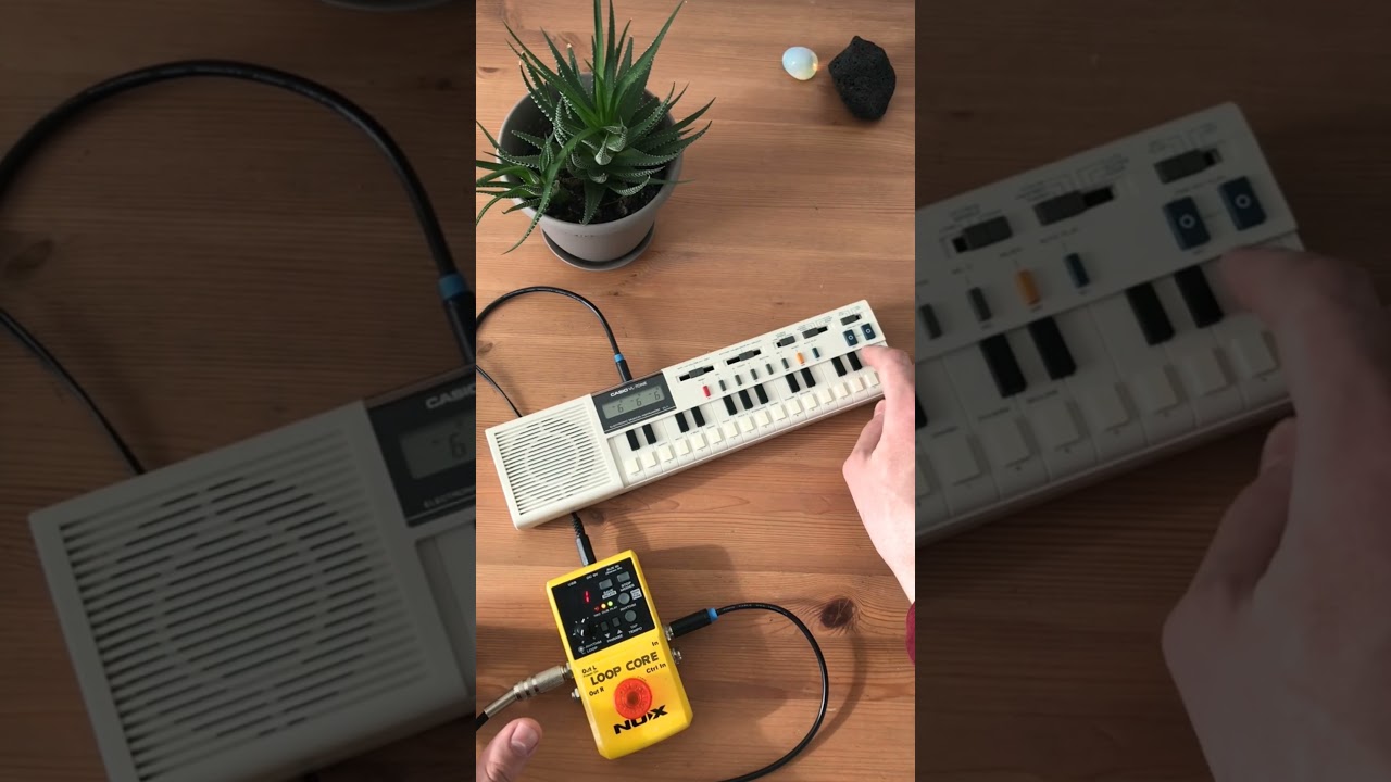 SAMOGOCHI - Casio vl tone loop jam (2025)