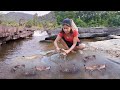 Catch crabs for food at waterfall nature - Crabs soup spicy for lunch- Solo cooking in jungle