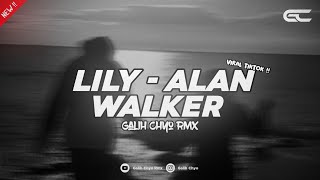 Alan Walker - Lily (Slowed   Reverb   Lyrics) TikTok Remix