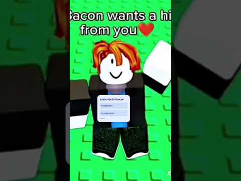 Hi cute bacon