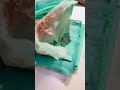 SANA SAFINAZ Ki Bari Lot Agai Woh Bhi Muft Mei