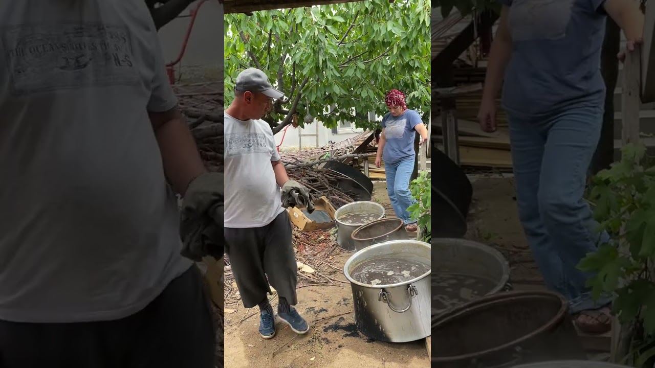 Pekmez yapımı zor ve zahmetli ama sonuç mükemmel💯 Grape molasses