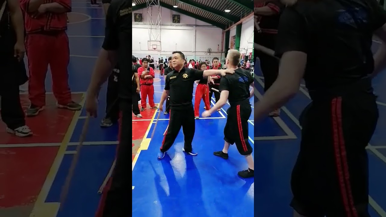 FROM WEAPONS TO BARE HANDS, Master Rodolfo Población Jr.