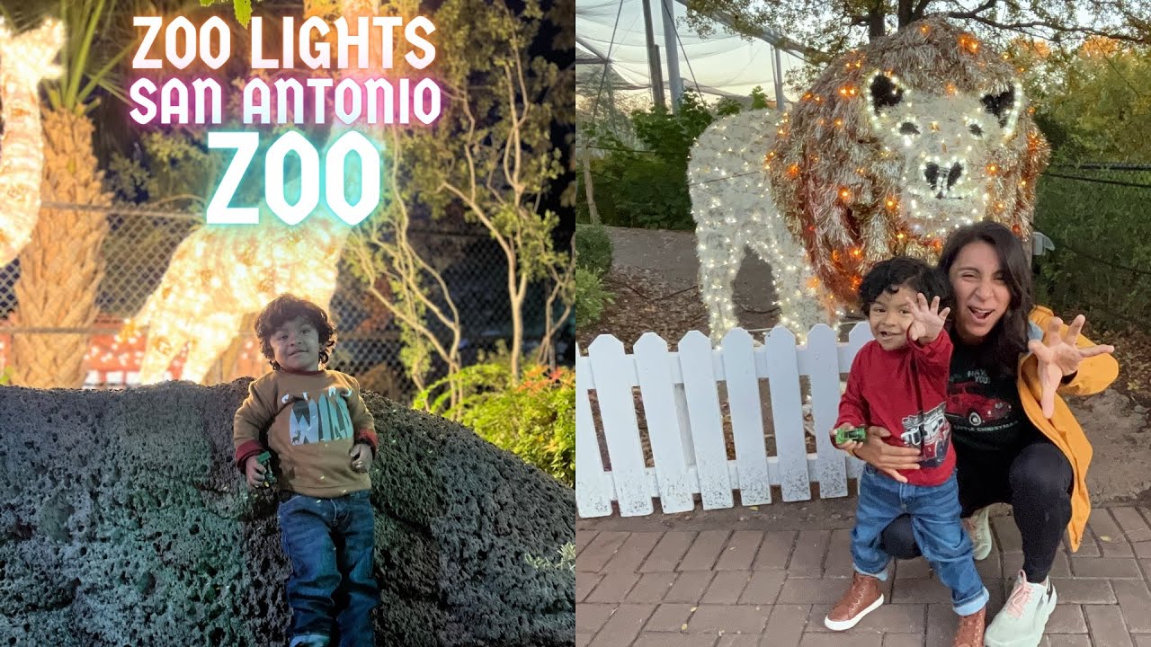 Zoo Lights at the San Antonio Zoo Christmas Lights YouTube