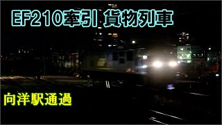 【鉄道動画】343 EF210牽引 貨物列車 向洋駅通過
