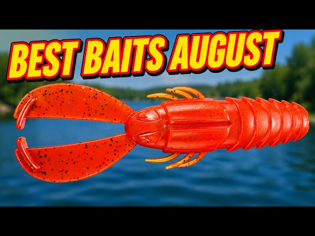90% of Anglers Miss the Best Bite in August