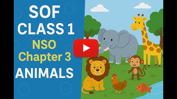 Class 1 - SOF - NSO - Chapter 3 Animals
