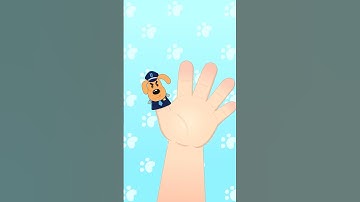 Cảnh sát trưởng Labrador và gia đình ngón tay #shorts #canhsattruonglabrador #hoathinhthieunhi