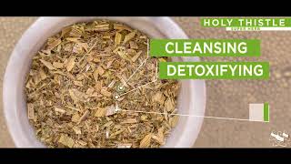 Best Jasmine Tea Herbal Tea By 3Mtea Helps Weight Loss Reduces Stress And Anxiety Benefits