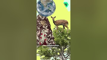 Diggit Wiki: the concept of 