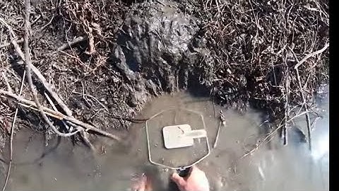 BEAVER TRAPPING 2021 EP.1 {SETTING CASTOR MOUND SETS}