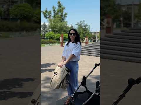 Універсальна коляска Anex IQ Premium, Smoky, видео 5