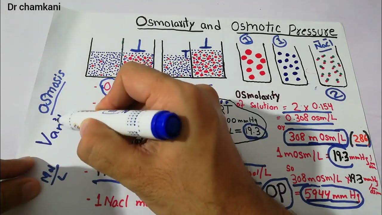 Renal system 13 Osmolarity How to calculate osmotic pressure