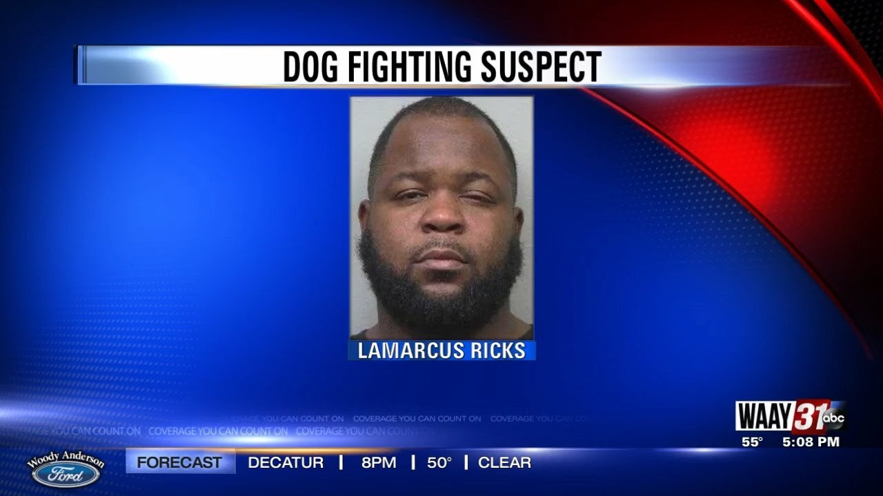 Alabama county wants dog fighting suspect to pay for animal care - YouTube