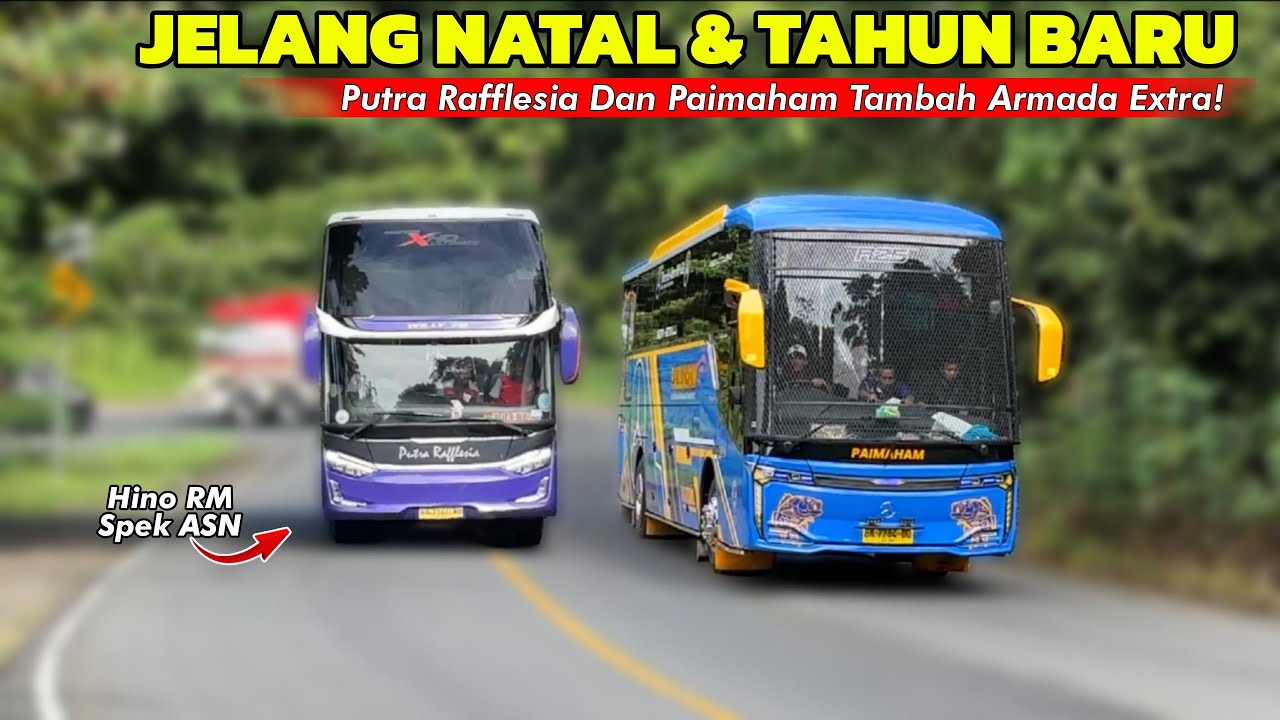 PAIMAHAM 88 & 89 MENUJU MEDAN‼️PUTRA RAFFLESIA TAMBAH ARMADA EXTRA