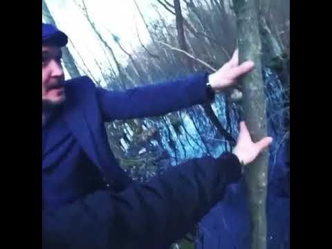 Гитлер сидит на березке а березка гнется..... - YouTube