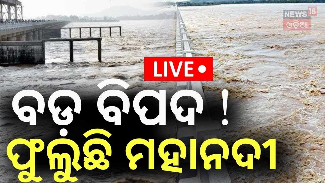 Live: ବଡ଼ ବିପଦ ! ଫୁଲୁଛି ମହାନଦୀ...| Flood Water In Mahanadi | Rourkela News |Odisha Flood