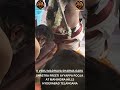 Shastra Preeti Ayyappa Pooja | Mahindra Hills I R Venu Madhava Garu