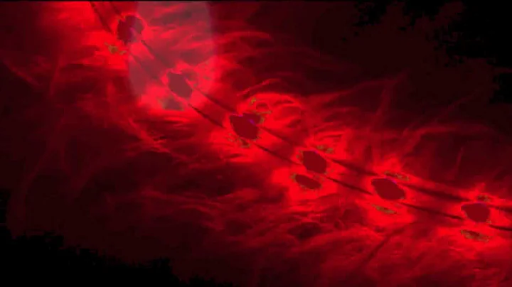 Purple Red Night - Francis Mann