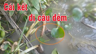 Đi đêm cắm câu cá trê say mồi mắc câu khó gỡ | Góc Miền Tây #385