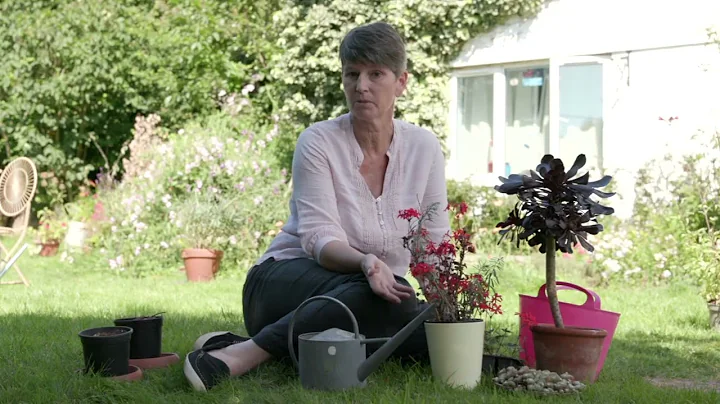 5 tips for saving water in the garden