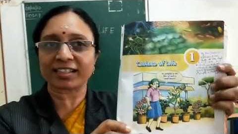 Class 6 Science Chapter 1 - Caskets of Life