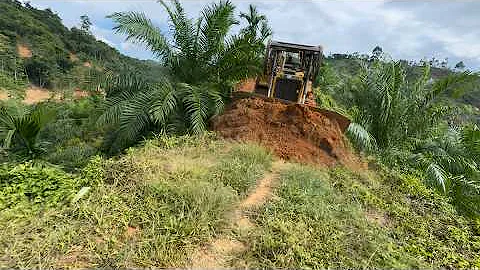 Bulldozer CAT D6R XL Opens Palm Oil Roads in Minutes!
