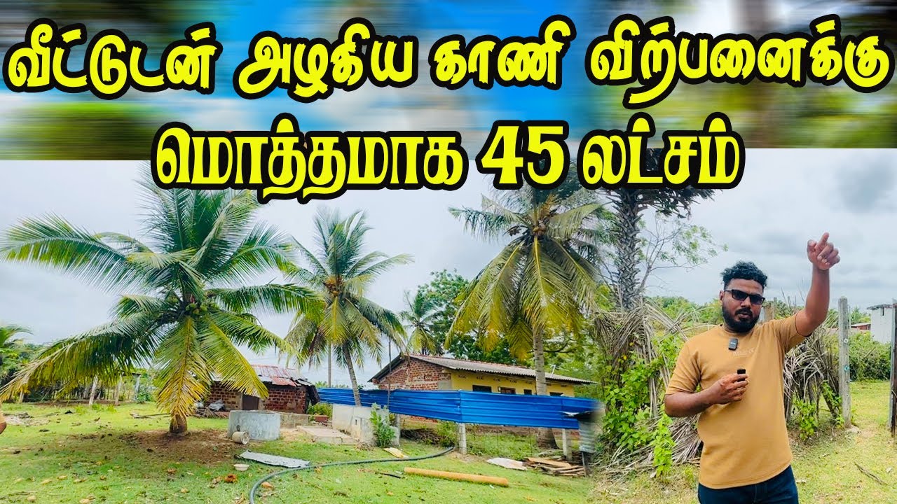 தார் வீதியை அண்மித்து மலிவு விலையில் காணி விற்பனைக்கு #vavuniya #jaffna #kilinochchi #landsale #home