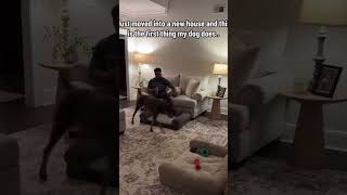 #viral #funny #shorts #short #viralvideos #funnyvideo #viralshort #funnyvideos #viralvideo