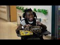 New York Islanders Season of Giving