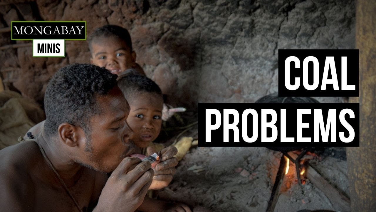 Coal demand is wiping out Madagascar's Mikea community forest