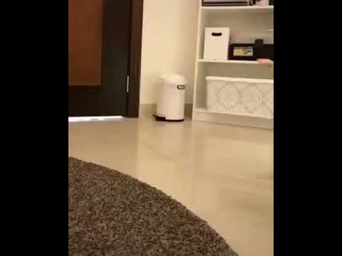 انا بنت الشيخ رقص بنت على شيلة ناار 2021 رقص بنت ابوها دمااار على شيلة انا بنت الشيخ رقص ناار