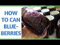 How to Can Blueberries ~Easy Method