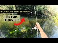 Pche  vue  poisson inattendu en ul  chevesne  la mre 