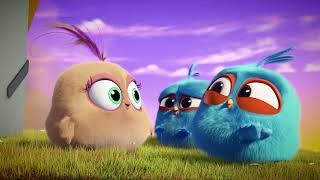 Angry Birds. Пушистики 💥Все Серии💥 - 4 Серия