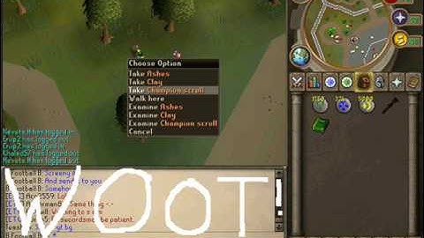 Champion Scroll drop from an IMP.