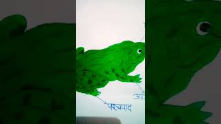 Biology 11class project frog body structure please like and subscribe