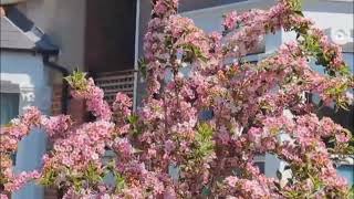 calm and control anxietyDeep Sleep, Inner Peace and Autogenic Training. Relaxing Sounds#relax 