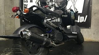【 BIKE SHOP ATV 】ズーマー　モンスターエナジー　社外マフラー