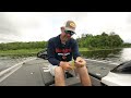 The Northland Reed Runner Frog Series