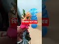 জীবনের সবচেয়ে বড় পাপ #Shorts #shortvideo #islamicpreyar #shortsfeed #flowers
