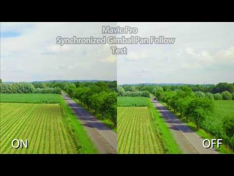Mavic Pro Synchronized